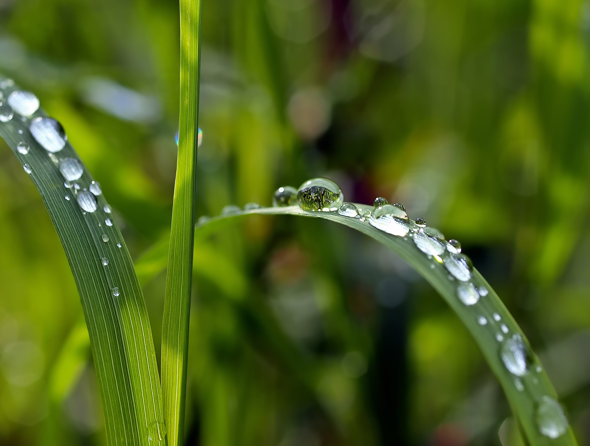 Biomedical Park Purified Water Treatment