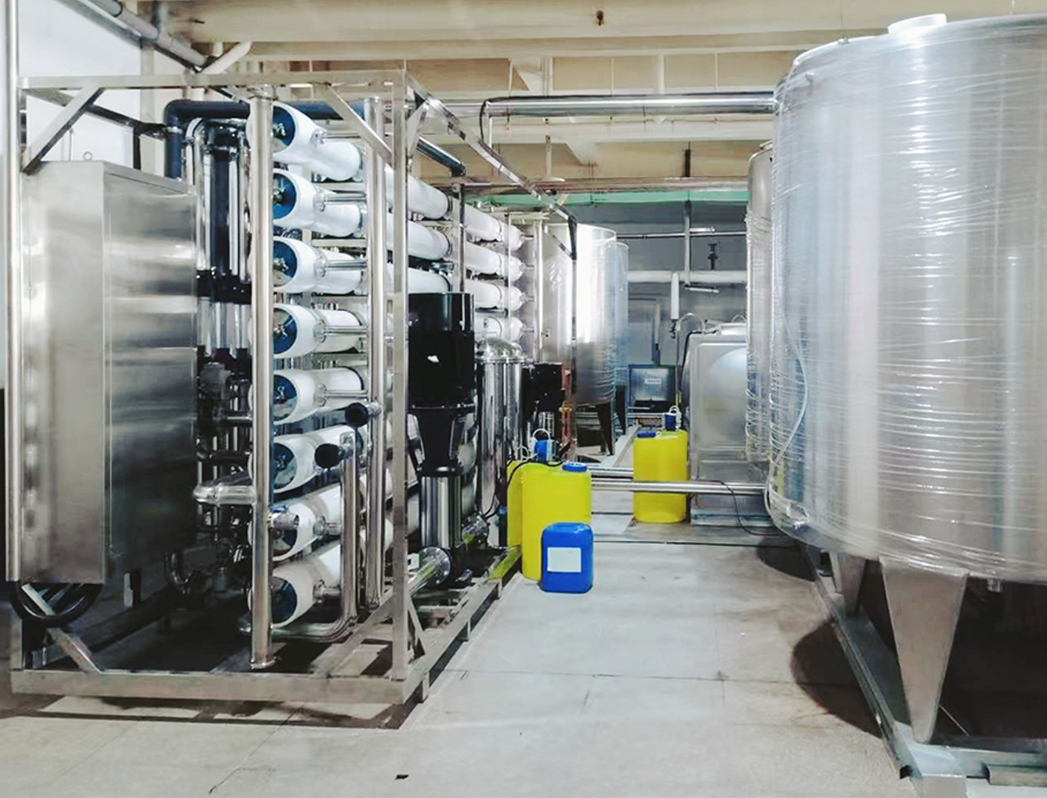 40T/H two-stage reverse osmosis pure water equipment